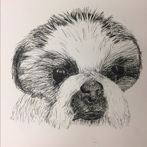 Meet your Posher, Theresa